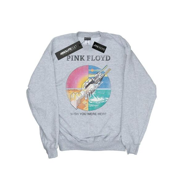 Pink Floyd Boys Wish You Were Here Sweatshirt / Sports Grey